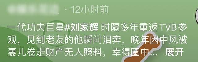 66岁功夫巨星回TVB，情绪失控当场痛哭，被妻儿卷走财产住养老院（组图） - 1