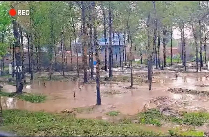 16死36失联！青海大通县突发特大洪水：牦牛被冲下山，汽车半个车身被淹（视频/组图） - 9