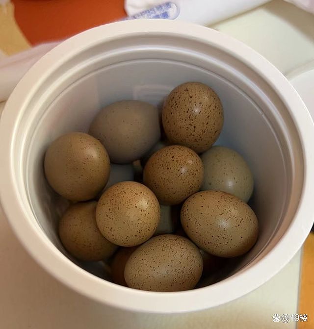 杭州阿姨斥资千元在家养100只鸡，每天能下40个蛋（组图） - 6
