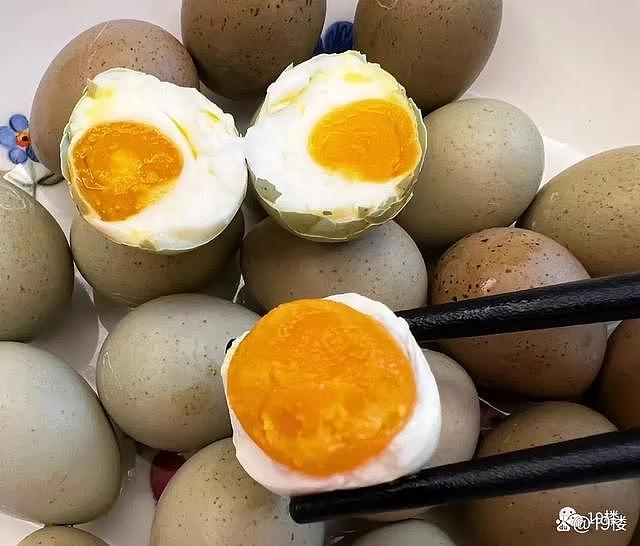 杭州阿姨斥资千元在家养100只鸡，每天能下40个蛋（组图） - 13
