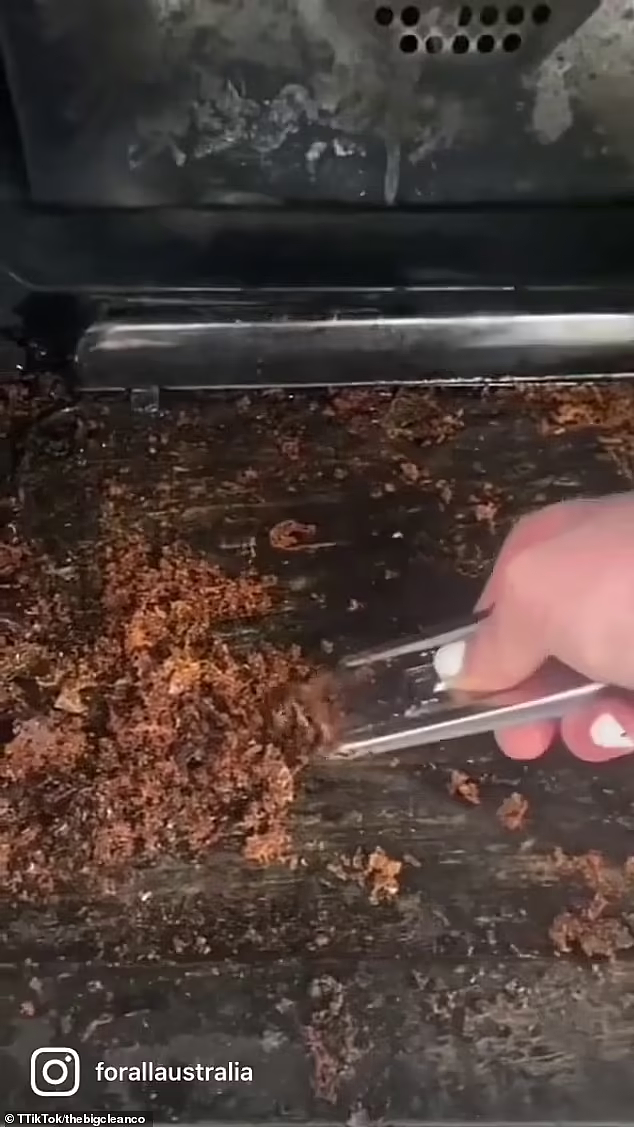 烤箱污垢如何去除？澳女分享清洁小妙招，网友大赞“这是高手”（视频/组图） - 5