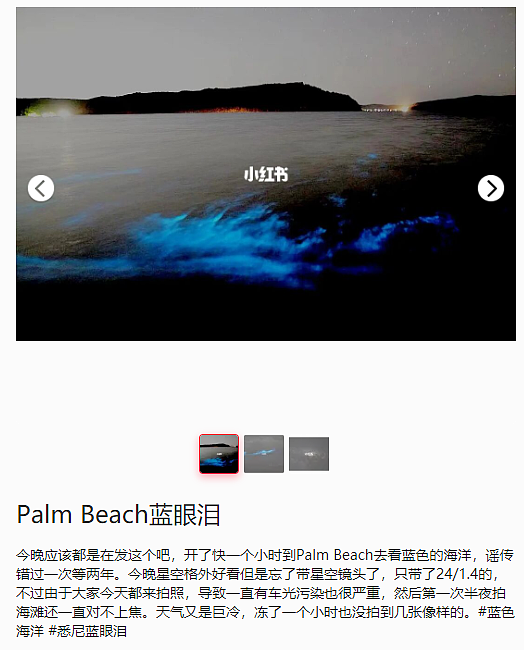 悉尼Palm Beach“蓝眼泪”刷屏！网友纷纷化身“追泪人”，荧光海滩宛若星河（视频/组图） - 3