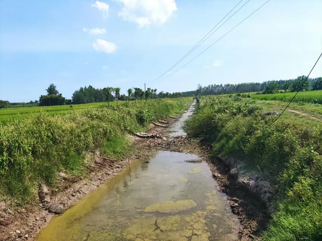 华容县梅田湖镇友谊村的一条灌溉渠