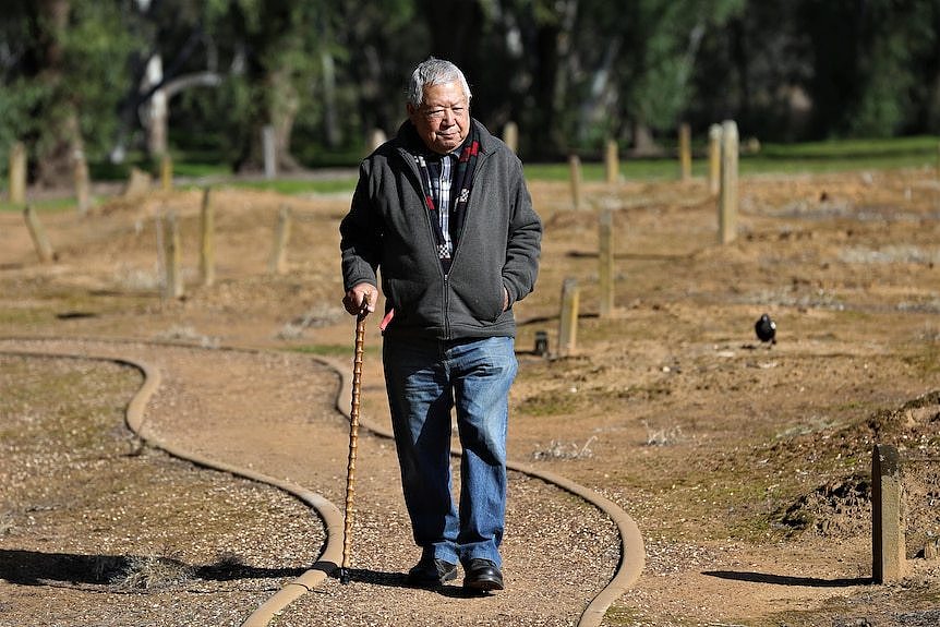 An older man with walking stick walks down a dusty path in a cemetery on a bright winter's day 