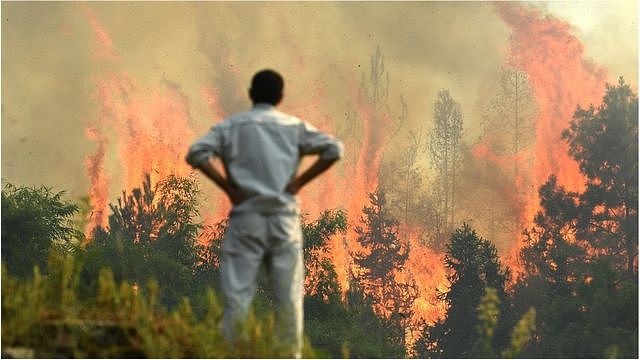 在高温和干旱中，重庆发生山林大火。