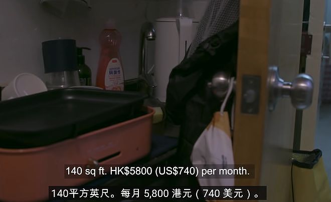 香港小伙月薪2万，执意要带2只猫移民英国，积蓄连机票都买不起（组图） - 3