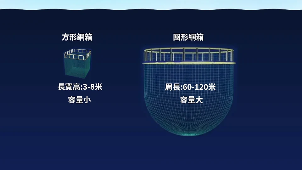 香港海域突现百万鲳鱼，背后原因令人唏嘘（组图） - 18