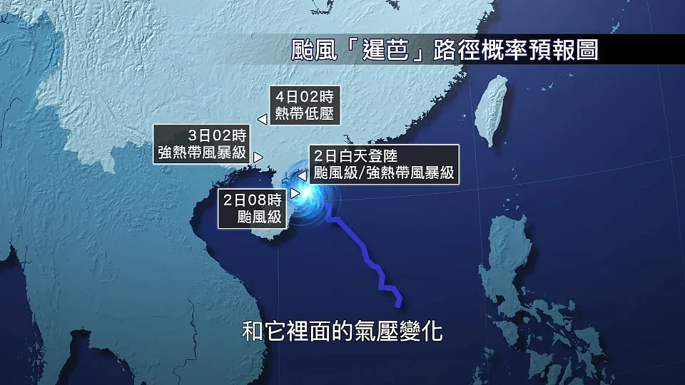 香港海域突现百万鲳鱼，背后原因令人唏嘘！（组图） - 10