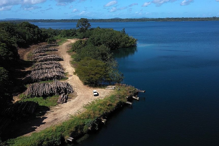An aerial photo of a piles of cut down trees, by a dirt road and a large expanse of water.