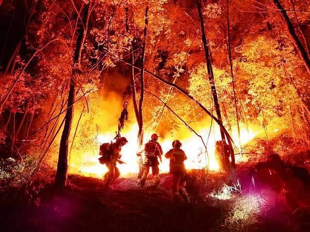他们逆火而行！多图直击重庆森林火灾救援现场（组图） - 6