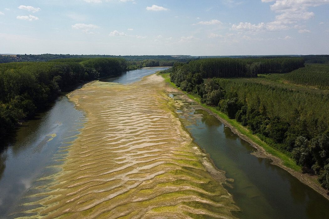 本月，塞尔维亚巴纳斯托干涸的多瑙河河床。