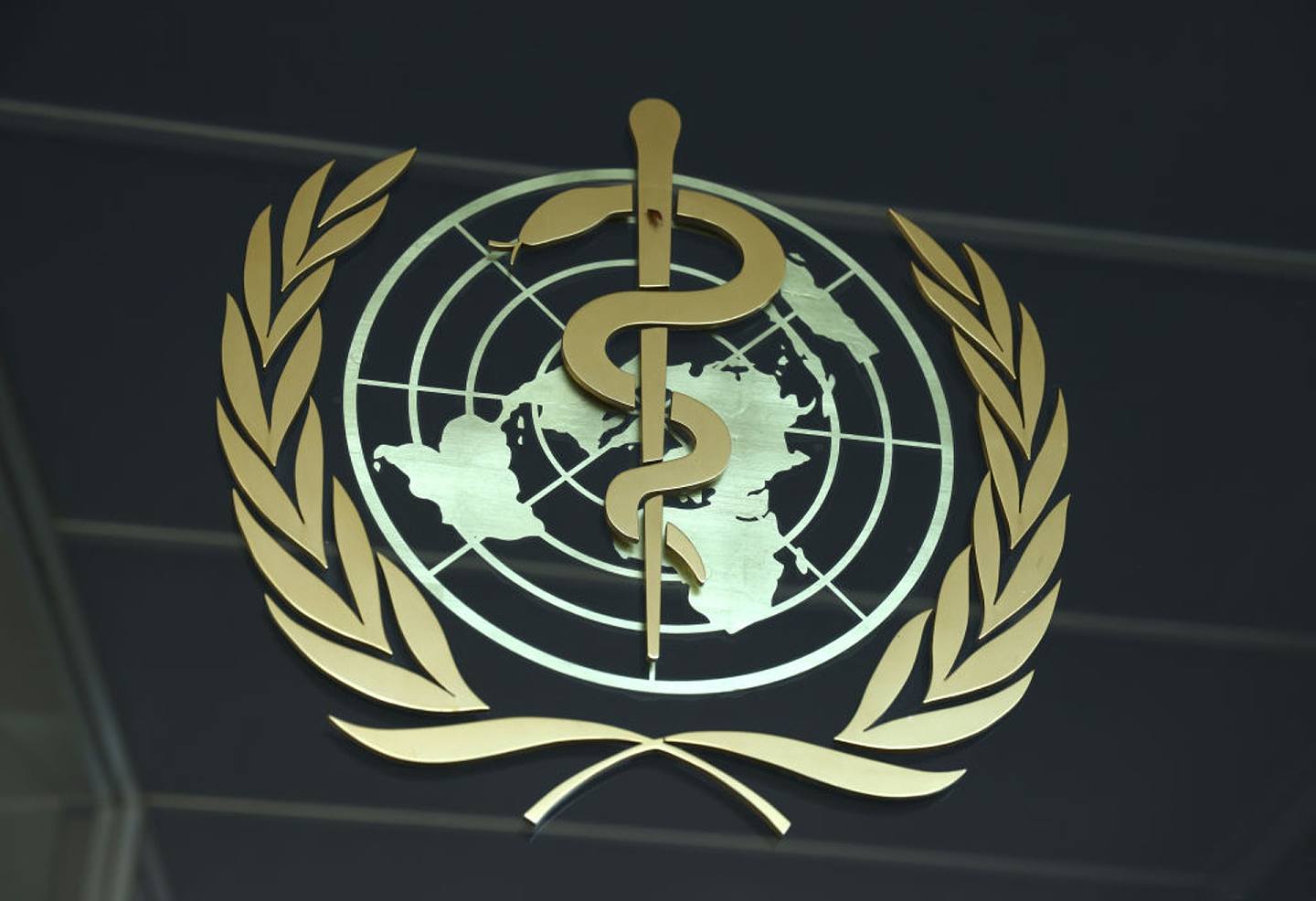 图为2021年6月15日，镜头下置于世界卫生组织瑞士日内瓦总部的标志。 （Getty）