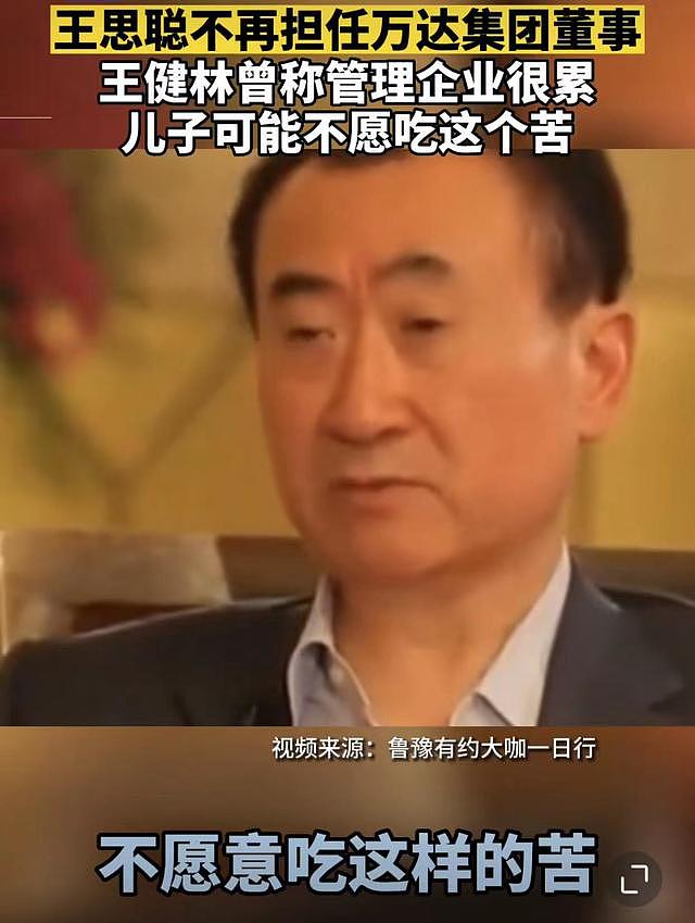 王思聪卸任万达董事！曾投资失败亏20亿，王健林财产或不留给儿子（组图） - 6