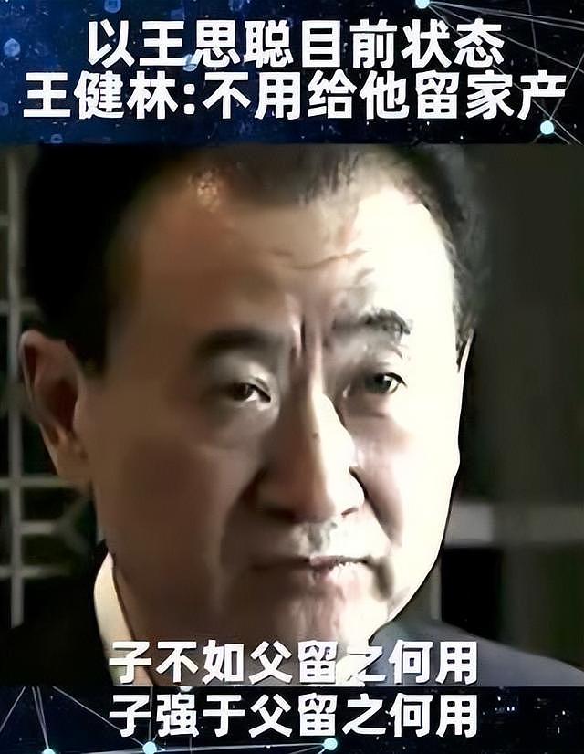 王思聪卸任万达董事！曾投资失败亏20亿，王健林财产或不留给儿子（组图） - 8