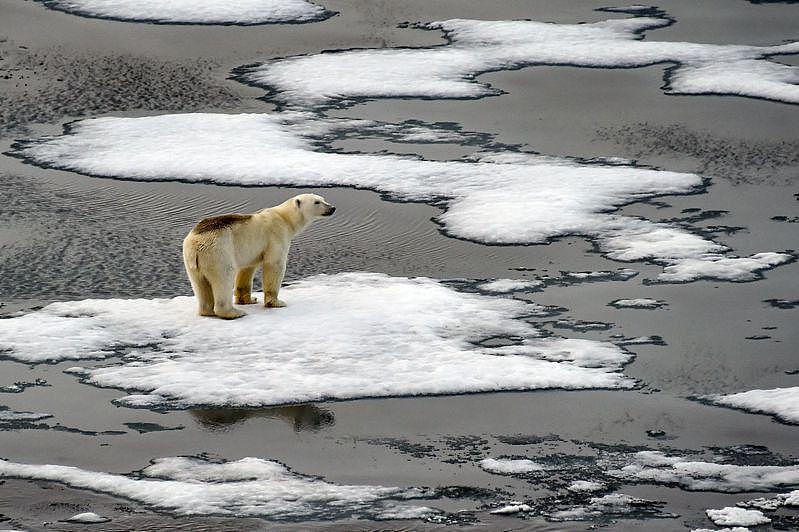 最新研究估计，地球升温已势不可违，格陵兰冰山到2100年还会融化掉110兆吨，海平面增高十吋，美国每年受到的洪灾可能增加5到10倍。 (Getty Images)