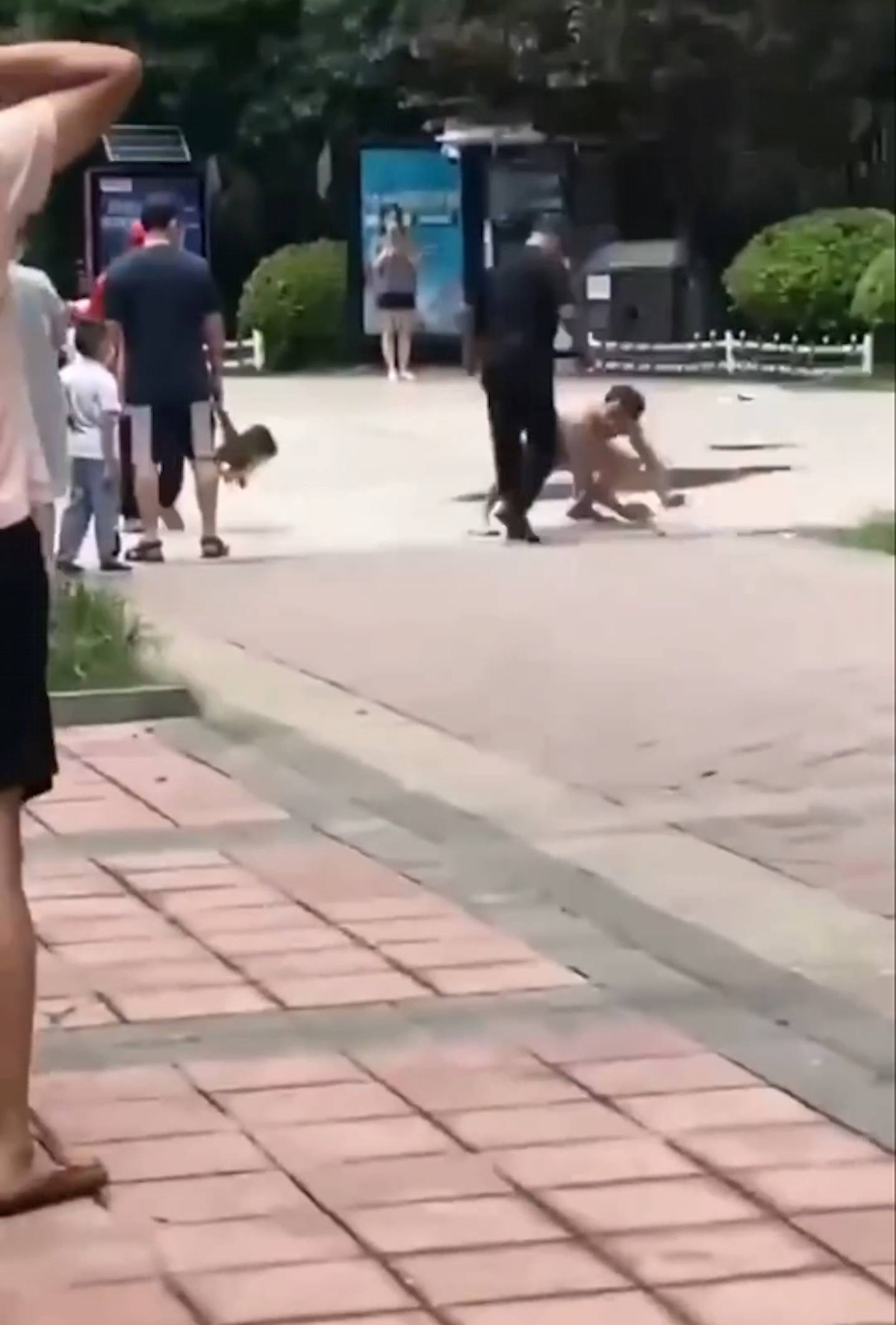 湖北武汉一名疑似精神失常的男子，在小区内趴地学狗叫咬伤2名路人。 （影片截图）