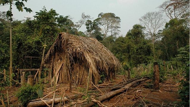 多年来，巴西原住民机构国立印第安人基金会发现了他建造的几十个草屋。