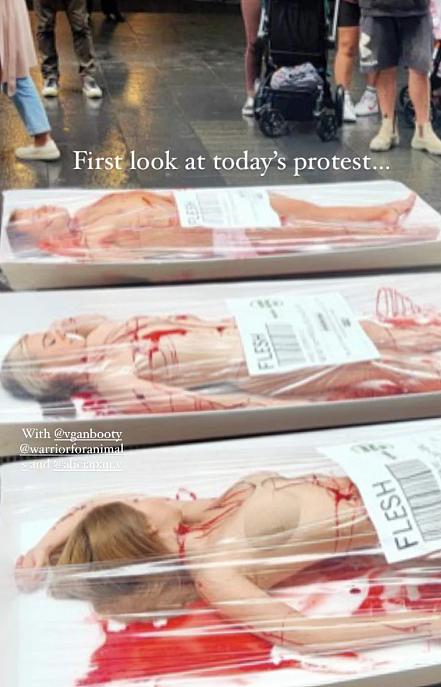 皮特街惊现“血尸”！多名半裸女子躺地抗议，路人被惊呆（组图） - 4