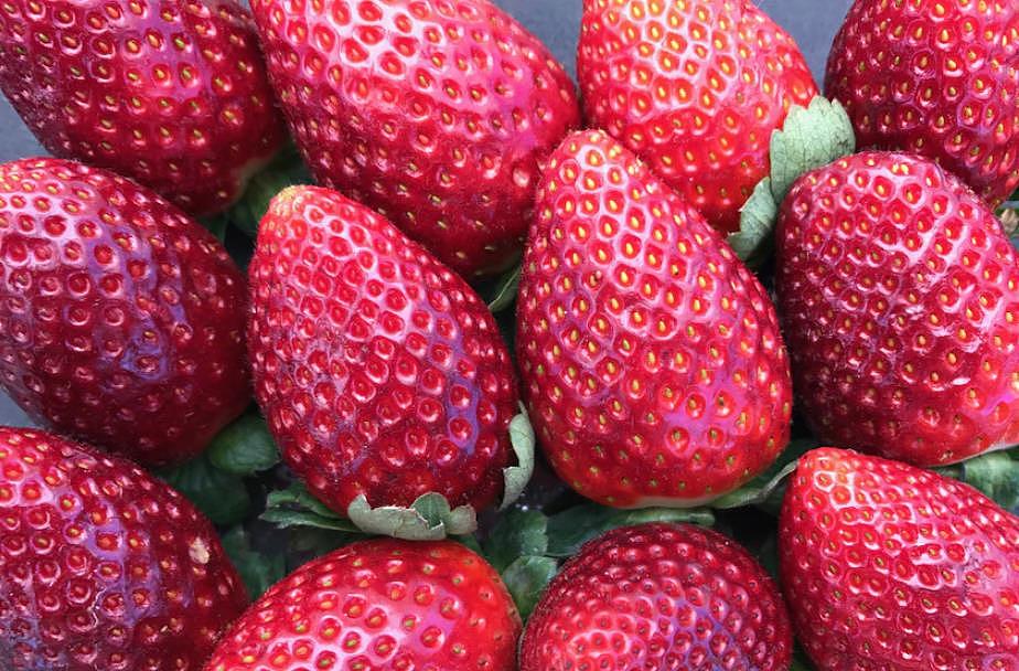 $2.3/盒！澳洲草莓价格暴跌，种植者鼓励人们多买点（组图） - 3