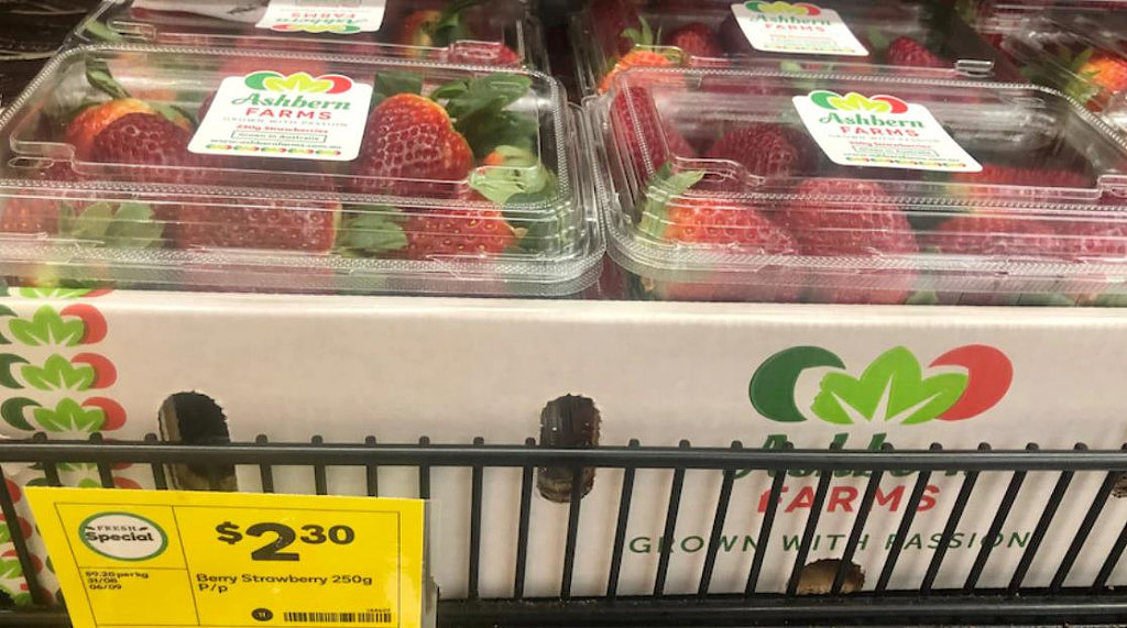 $2.3/盒！澳洲草莓价格暴跌，种植者鼓励人们多买点（组图） - 2