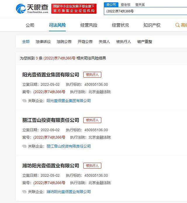 李亚鹏持股公司被强制执行逾4.5亿元，执行法院为北京金融法院（组图） - 2