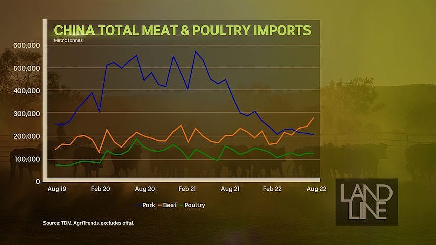 中国牛肉进口量超过猪肉。