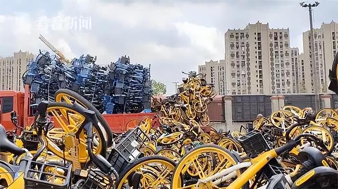 上海熟悉的一幕又来了！完好的共享单车被堆成山，有人靠这个“日进上万”网友怒了（组图） - 4