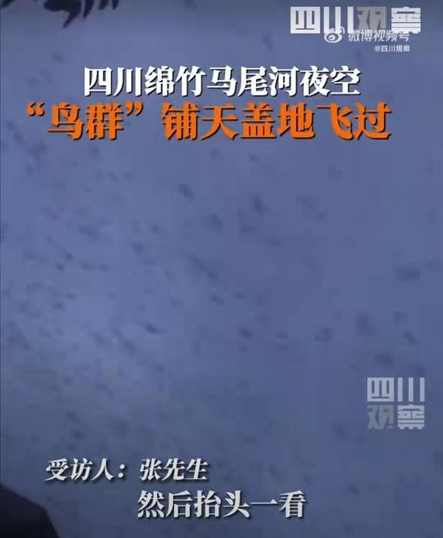 泸定县地震前一天，绵竹飞鸟满天，网友怀疑是震前异象。 (取材自四川观察)