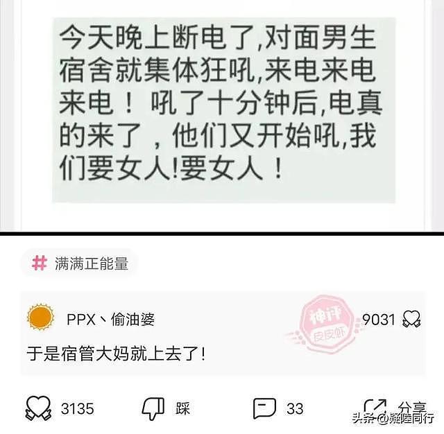 【爆笑】自己反应慢，不会讲话，很多话接不住，哈哈哈情商低怎么办（组图） - 6