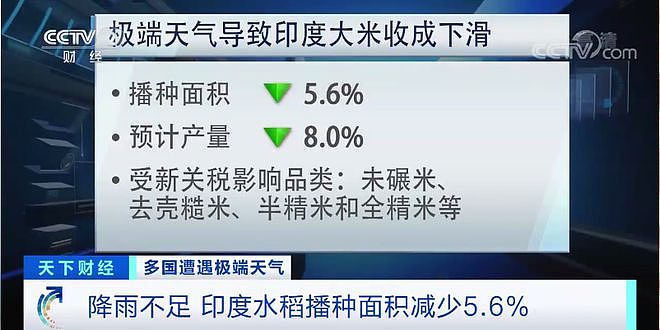 印度突然对大米下手 想吃印度米 得先给交20%税（组图） - 3