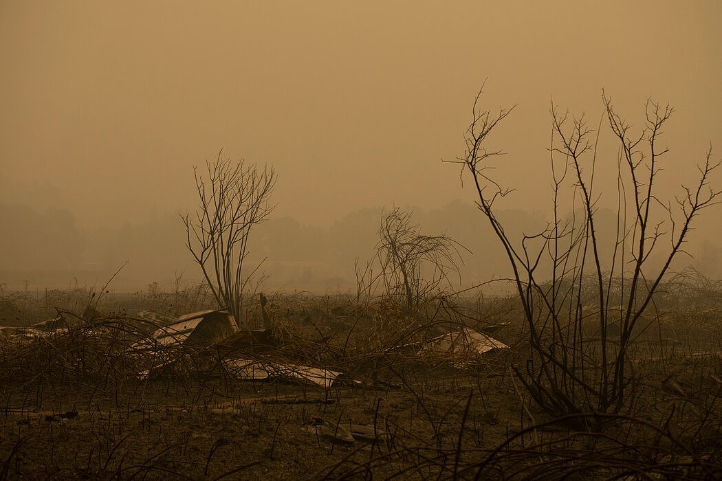 一场野火烧毁了美国俄勒冈州穆利诺附近的农田。