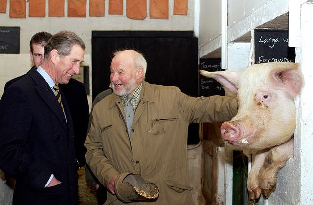 2003年1月31日查尔斯三世访问沃利纳学校有机农场，与农民彼得·哈特和母猪萨利合影。