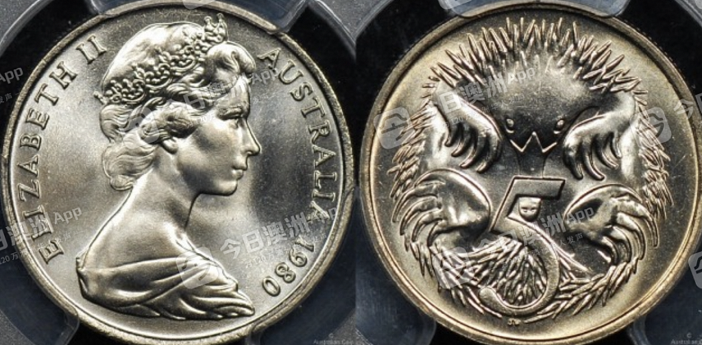 悉尼华人抢购女王纪念币，凌晨苦寻终有收获！资深藏家提醒：“勿追涨，难变现”（组图） - 10