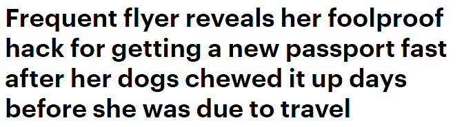 急用护照却被狗狗咬坏，墨尔本女子历时5天拿到全新护照！多亏排对了队（组图） - 1