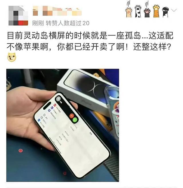 到货后，大量用户发现iPhone 14系列灵动岛色差严重！还有华人首发抢到的手机，竟收到的是空盒子（组图） - 10