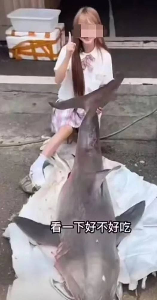网红烹食大白鲨：花数千元从渔民处转手购得，两人被批捕（图） - 1