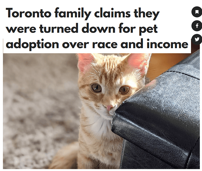 加拿大华人家庭领养小猫被拒：因“收入低、中国人”惨遭羞辱（图） - 1
