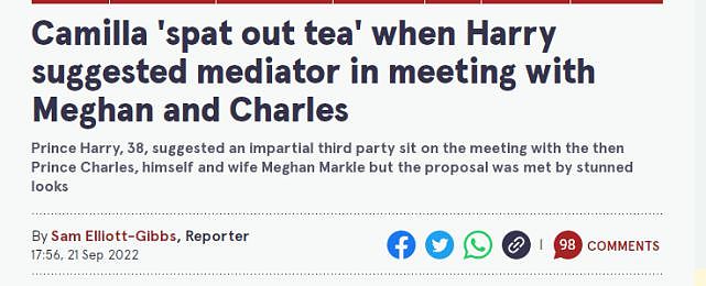 卡米拉听到哈里提议解决王室纠纷方法，惊愕万分，当场吐了一口茶（组图） - 8