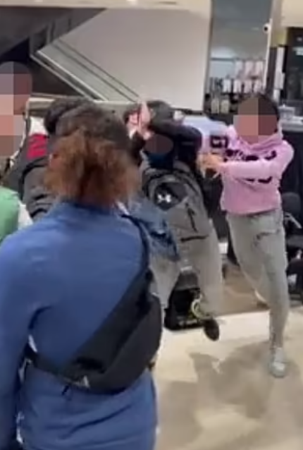 悉尼购物中心发生群殴事件！数十名青少年大打出手，场面一片混乱（视频/组图） - 4