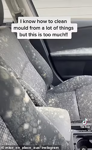 太潮湿！悉尼夫妇闲置汽车长满霉菌，多亏网友提醒获得高额赔偿（视频/组图） - 6