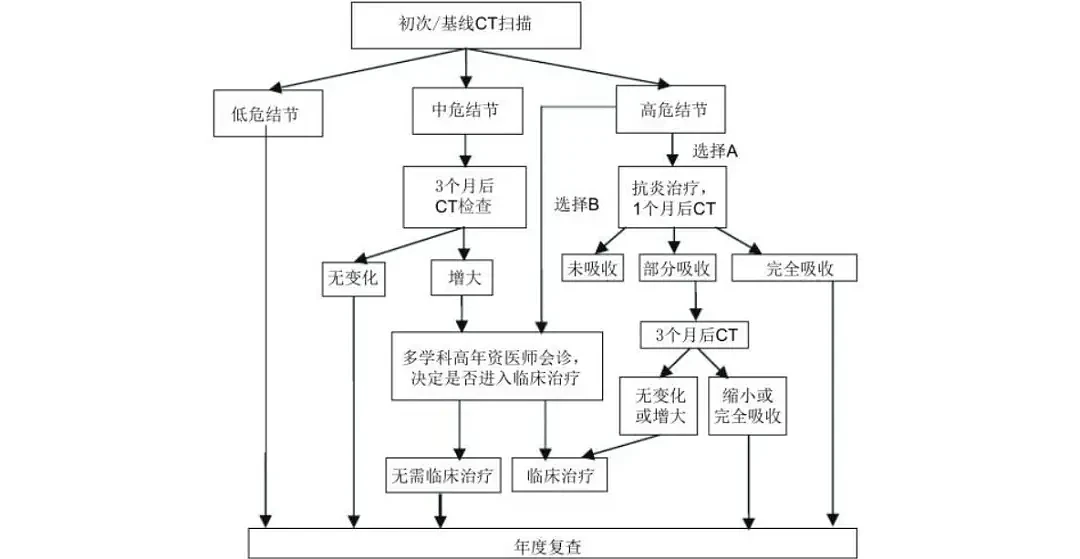 图3 初次扫描实性肺结节处理流程 | 图源[16]