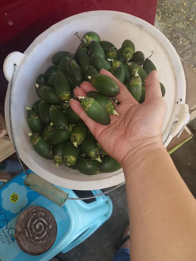 直击槟榔产业：鲜果从每斤30元降到18元，有中间商囤5000万货难出手（组图） - 4