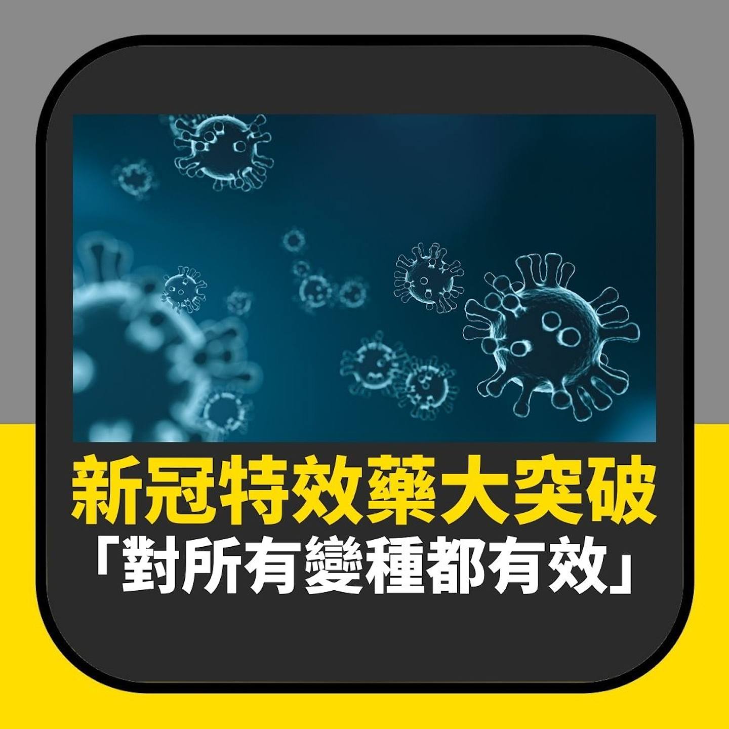 新冠病毒特效藥大突破　發現能阻人類感染的HR2　所有變種都有效（01製圖）