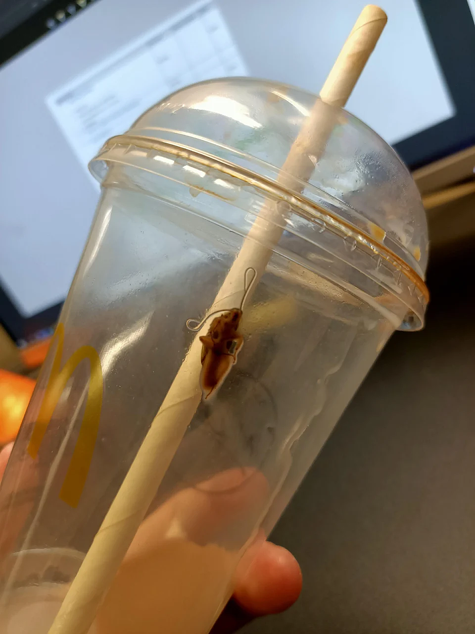 反胃！新州男子麦当劳冰咖啡中喝出蟑螂：最后一口才发觉，还以为是咖啡豆...（组图） - 2