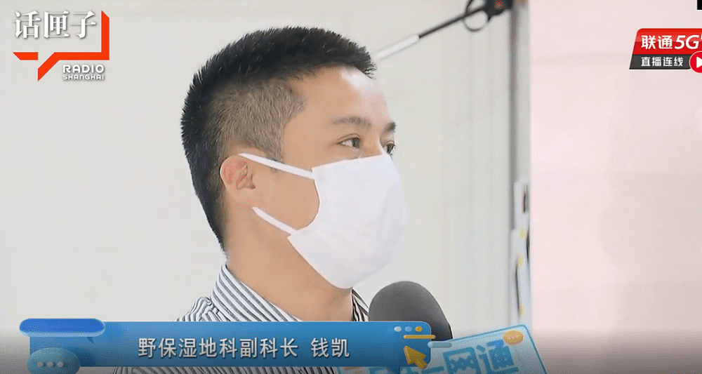 上海一小区多户居民家中发现蛇，警方打开了19岁大学生的房门（组图） - 10