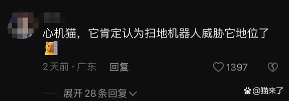 【宠物】缺德猫开门让扫地机器人下27楼，机器人：这辈子没想过我能扫小区（组图） - 4