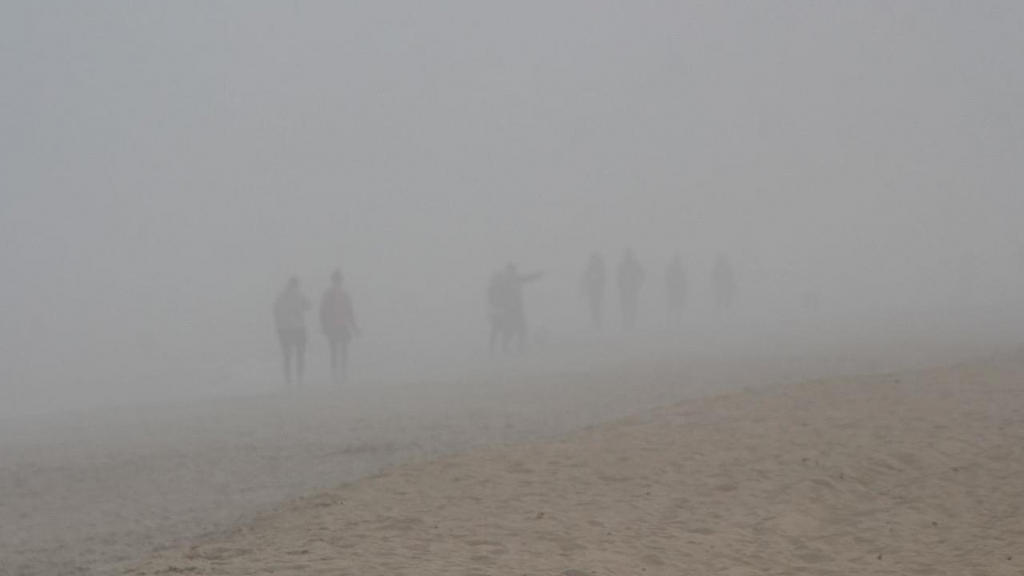 墨尔本又添奇怪天气现象？今日多地被浓雾笼罩，场面“壮观”（组图） - 3