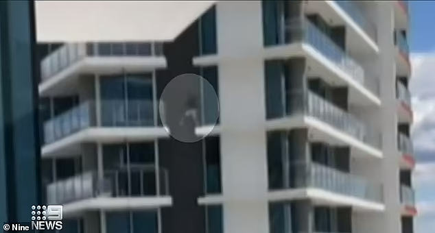惊呆目击者！黄金海岸男子站24楼阳台外跳至对面楼，或面临牢狱之灾（视频/组图） - 3