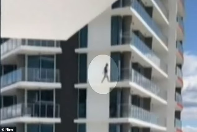 惊呆目击者！黄金海岸男子站24楼阳台外跳至对面楼，或面临牢狱之灾（视频/组图） - 2