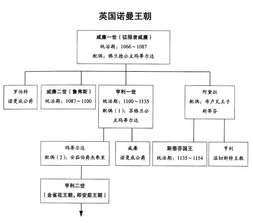 ▲英国诺曼王朝世系图